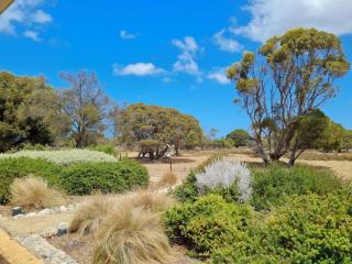 Tidal Life - Wool Bay - 6