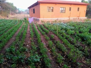 Viyoddha Homestay near Satara - Satara - 8