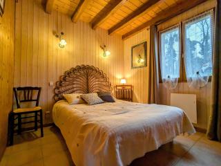 Maison idéale au bord du lac avec jardin clos et parking privé, animaux admis - FR-1-591-711 - Saint-Plantaire - 9
