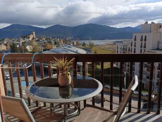 F2 au pied des pistes avec WiFi et parking - FR-1-295-202 - 6