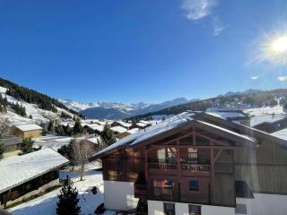 Studio familial 4 pers avec balcon, casier skis, animaux admis - FR-1-594-332 - Hauteluce - 3