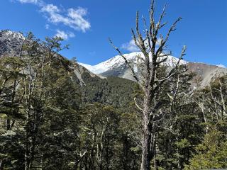 Craigieburn Valley - 0