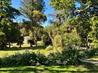 The Venus room at Glendower Homestead - Greytown - 1