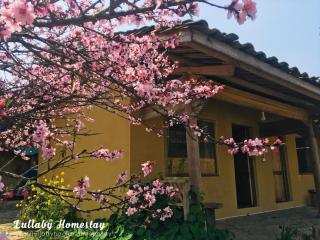 Lullaby Ha Giang Homestay - 4