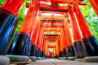 The CATAN 伏見稲荷 - Kyoto - 9