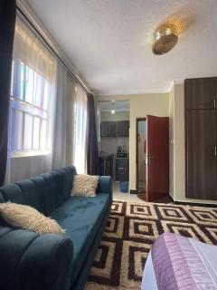 Sato's Homely studio apartment - Kampala - 9