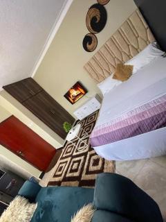 Sato's Homely studio apartment - Kampala - 2