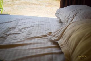 Serenity Jungle Stay - Dandeli - 6