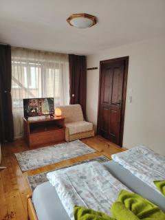 Къща за гости ФЪН ШУЙ 88 - Dobrinishte - 3