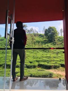 Zima Wayanad - Meppādi - 3