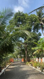 Prabhalayam - Kottayam - 2