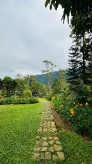 Wild Elephant Resort - 7