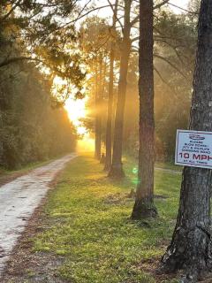 Countryside Escape Near Disney & Adventure Park - Clermont - 8