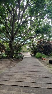 Sunset Bed and Breakfast - Coffee Bay - 4