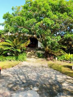 Sunset Bed and Breakfast - Coffee Bay - 9
