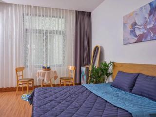 Blue room - Là Lá Homstay Vinhomes Grand Park - Gò Công - 3