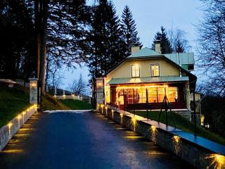 Mariazeller Alpen Chalet - Mariazell - 0