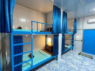 Blue Shore Pavilion - 4