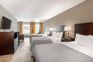 Quality Inn Simpsonville-Greenville - Simpsonville - 5