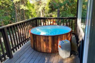 Beautiful Renovated Cozy Forest Home with Hot Tub in Crestline - Crestline - 2