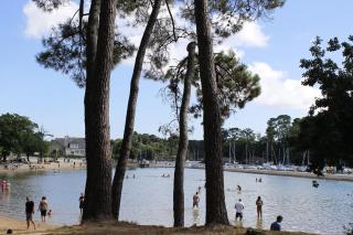 Charming T3 with balcony near beach - Vannes - 2