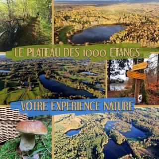 Le Nénuphar - Chalet avec terrasse - Mélisey - 9