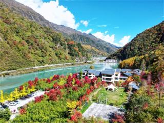 Summer Garden Hotel - Wolongguan - 8