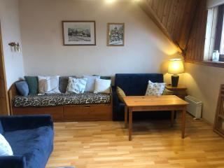 Apartament Nowotarski - Zakopane - 6
