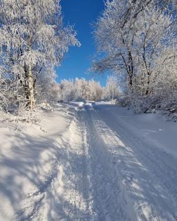 Beskidzki Reset - Budzów - 5