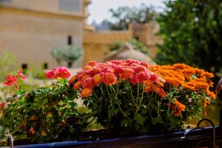 Royal Antique Boutique Hotel - 1