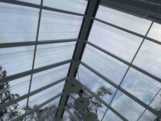 Modern Victorian Homestay - 9