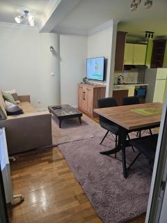 Apartman RB, free wi-fi,klima,2 spavaće sobe - Banja Luka - 9