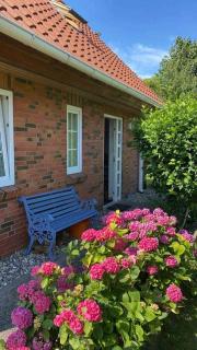 Ferienhaus Schaletzki - Barth - 0
