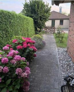 Ferienhaus Schaletzki - Barth - 9