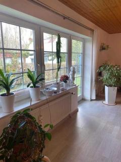 Ferienhaus Schaletzki - Barth - 6