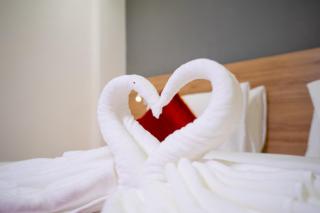 AJ Palace - Alleppey - 4