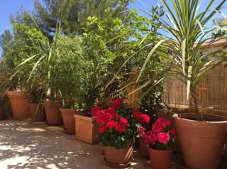 Les Terrasses D'Aix - Aix-en-Provence - 4