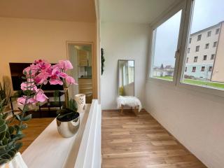 Elegante Ferienwohnung in der Barockstadt Schärding - Sankt Florian am Inn - 9