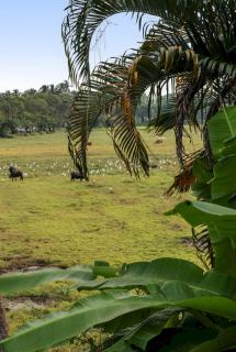 Luxurious 4bhk villa in Calangute - Goa - 5