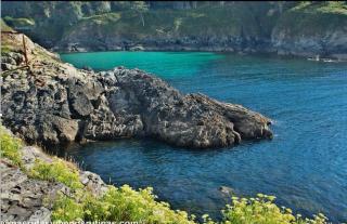 O REMANSO do CORGO - 9