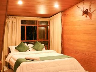 Ethnic Villa Wayanad - 8