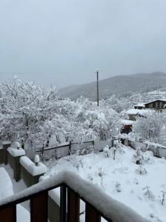 Mount Villa Bakuriani - Bakoerjani - 4