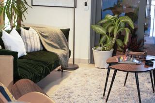 LUXE | Elegant 2BR | Harbour View | Stylish & Cozy - Dubai - 3