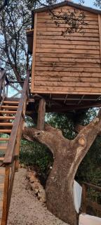 Cabaña del árbol Lavagarural - Villanueva del Rosario - 5
