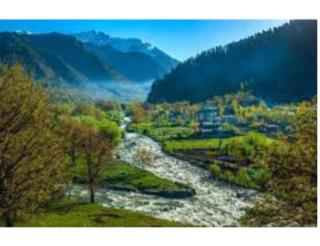 Hotel Top Hill Nearby Dal Lake - Srinagar - 4