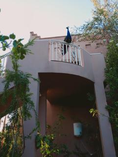 Jamarou - Marrakesh - 5