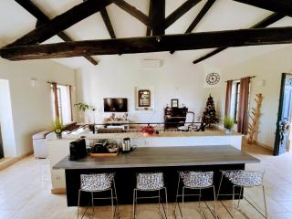 Villa Napoléon Piscine&Jacuzzi - Le Somail - 6