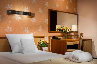 Hotel Victor Pruszków DeSilva - Pruszków - 4
