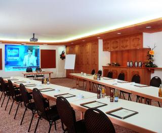 Wald- und Tagungshotel Geländer - Schernfeld - 7