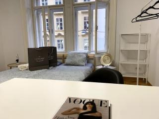 Luxury Serviced 3-Bedroom Flat in Vienna's 1st District - 2